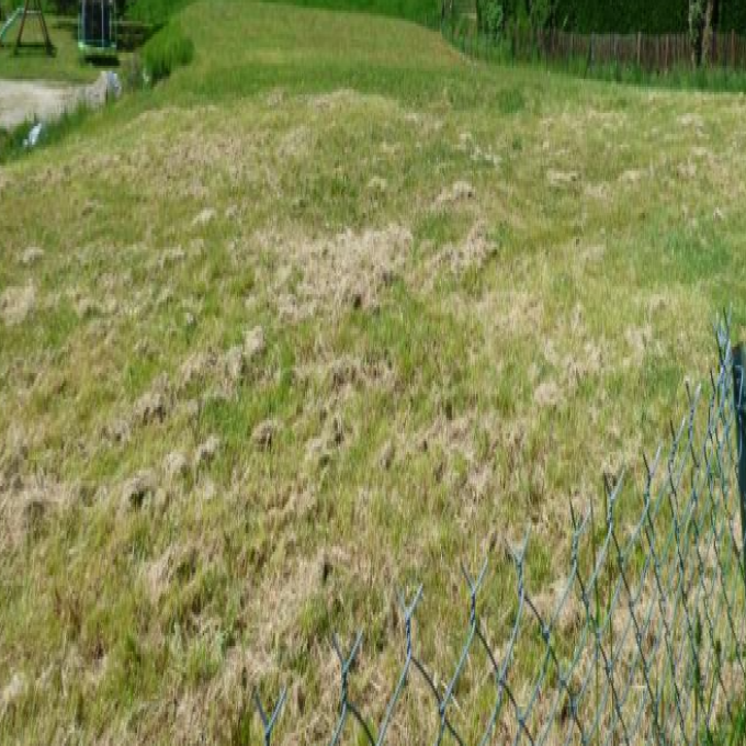 Offres de vente Terrain Poisat (38320)