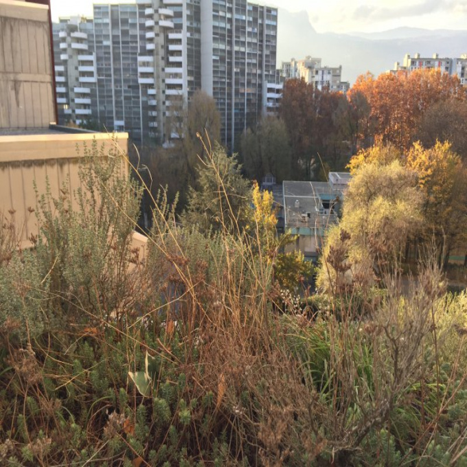 Offres de vente Appartement Grenoble (38100)